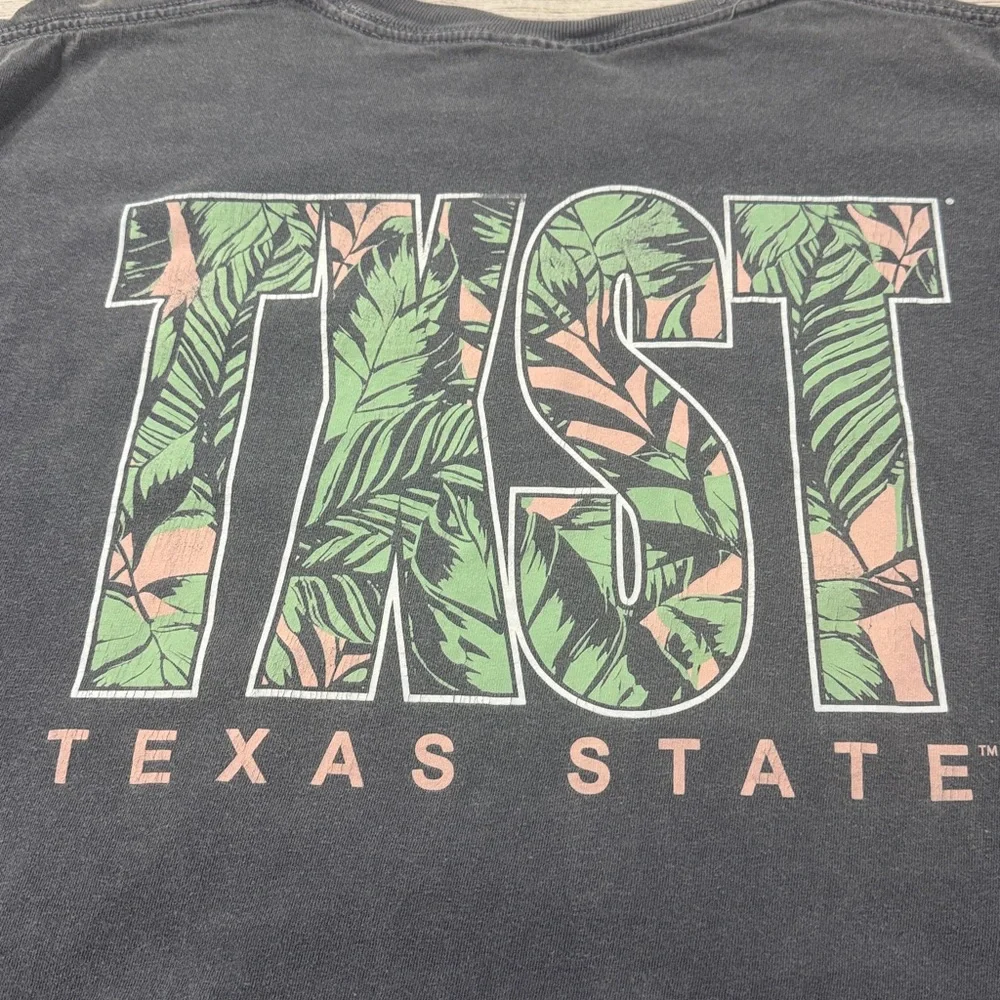 Comfort Colors Gray, Mint & Pink Texas State Tee